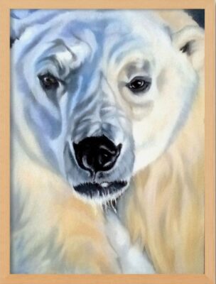 Majestic polar bear with paws out-stretched. Lying down in the snow the painting focuses on the face and top part of the bear's legs. Cream, white and grey fur with big shiny black nose and mouth, expressive shiny eyes and dramatic blue shadowing across the face. Framed painting.