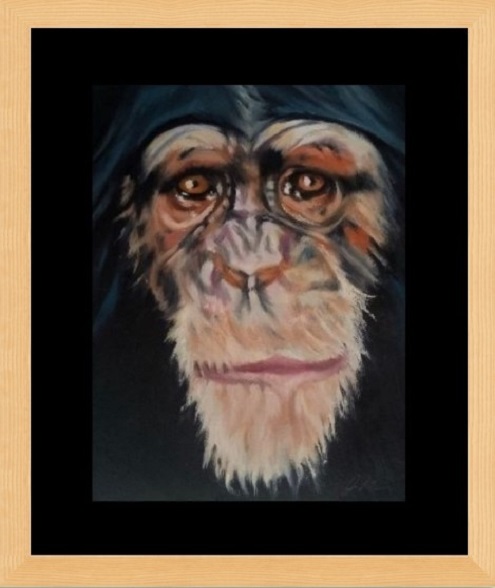 Chimp Family Collection, three generations of the same family. Portrait of face with pink, white, orange, blue and flesh tones. Clear reflective amber eyes with a dark and dramatic background.Black window mount with glass fronted frame.