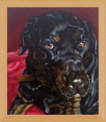 Commission of Rufus, beautiful dog, part Rottweiler with brown, shiny, expressive and kind eyes. Very shiny black and brown fur. Big shiny nose, wearing a leather collar and reclining on his favourite red blanket.
