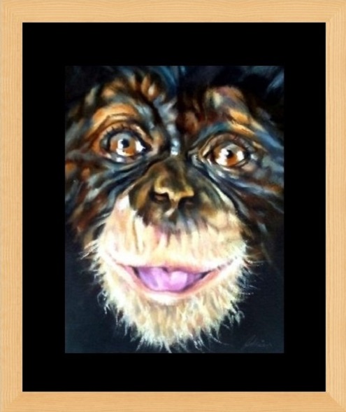 Chimp Family Collection, three generations of the same family. Portrait of face with pink, white, orange, blue and flesh tones. Clear reflective amber eyes, smiling mouth, open with tongue showing. With a dark and dramatic background. Black window mount with glass fronted frame.