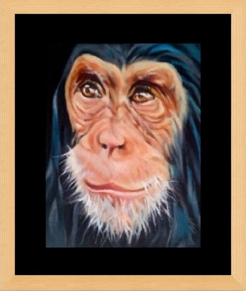 Chimp Family Collection, three generations of the same family. Portrait of face with pink, white, orange, blue and flesh tones. Clear reflective amber eyes, with head tilted to the right, with a dark and dramatic background. Black window mount with glass fronted frame.