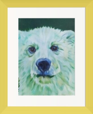 Jade is a young polar bear and daughter to George and Marily. Close-up portrait with green, white and blue tones. Inquisitive and shiny eyes.