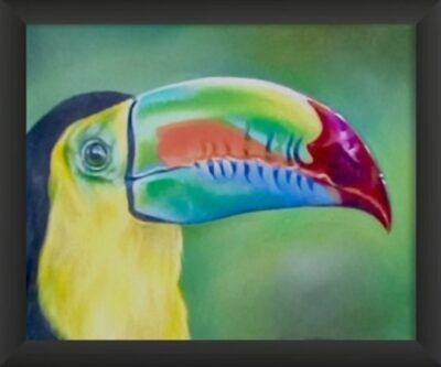 Portrait of a keel-billed toucan, cute. Very colourful bird with blue, orange, green and red beak. Yellow and red chest plumage. Forest background. Framed painting.