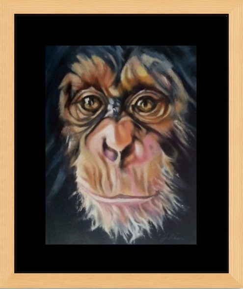 Chimp Family Collection, three generations of the same family. Portrait of face with pink, white and flesh tones. Clear reflective eyes with a dark and dramatic background. Black window mount with glass fronted frame.