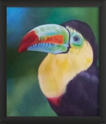 Young keel-billed toucan, cute image. Very colourful bird with blue, orange, green and red beak. Yellow and red chest plumage. Forest background. Framed painting.