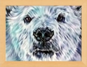 Close-up portrait of a polar bear with white fur, highlighted by the colours of the northern lights, aurora borealis. big shiny nose and brown reflective eyes with snow around the mouth area. White, gree and purple reflections in the fur.