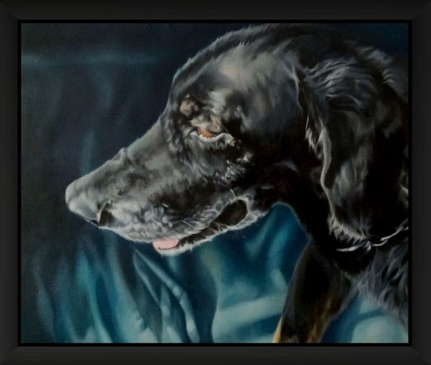 Commissioned portrait of a dog. Side-facing profile image. Elderly dog with black shiny coat and grey highlights, making him look distinguished. Vibrant and dramatic portrait in a more traditional style with light coming from the side of the composition. Reclining on the sofa with his favourite blanket. Wearing a chain collar with a teal blue background