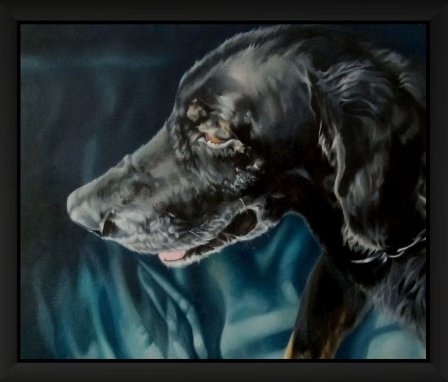 Commissioned portrait of a dog. Side-facing profile image. Elderly dog with black shiny coat and grey highlights, making him look distinguished. Vibrant and dramatic portrait in a more traditional style with light coming from the side of the composition. Reclining on the sofa with his favourite blanket. Wearing a chain collar with a teal blue background