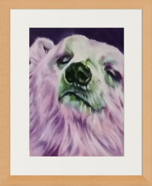 Close-up portrait of a polar bear with white fur, highlighted by the colours of the northern lights, aurora borealis. big shiny nose, closed eyes. White, green and magenta in the fur.