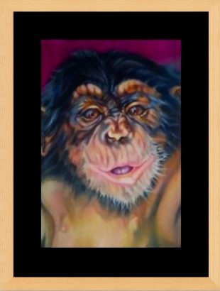 A vibrant painting of a chimpanzee's face with expressive brown eyes, wrinkled features, and slightly open mouth. The background is a mix of dark and bright magenta colours, adding to the lively and dynamic feel of the artwork. Black window mount and glass fronted frame.